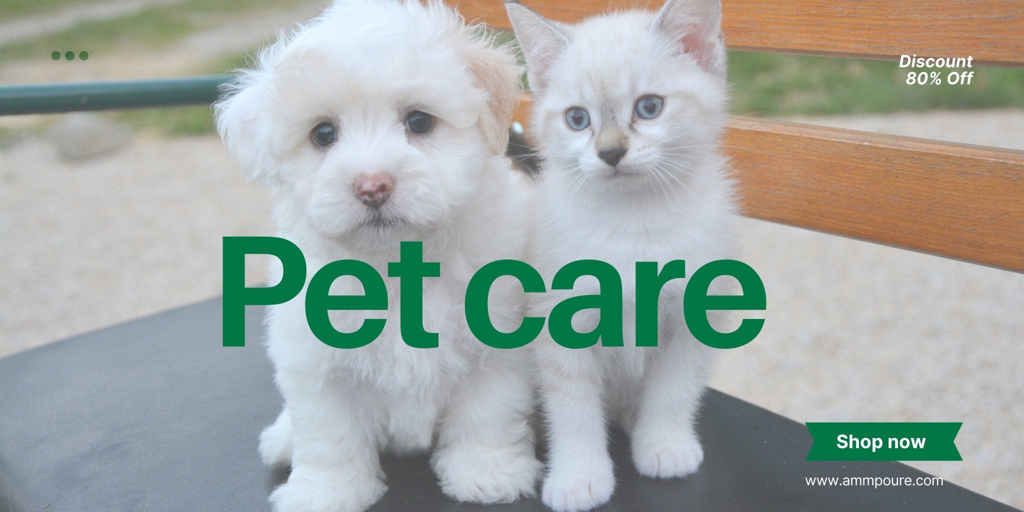 Essential Pet Care Products Every Pet Owner Should Have - Ammpoure Wellbeing