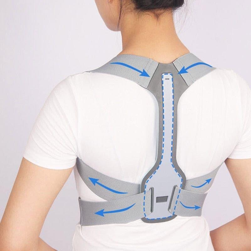 Spine Support Braces Explained: Which One Is Right for You? - Ammpoure Wellbeing