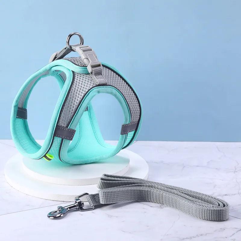 The Best Cat & Dog Harness for UK Pet Owners – Features, Fit, and Function - Ammpoure Wellbeing