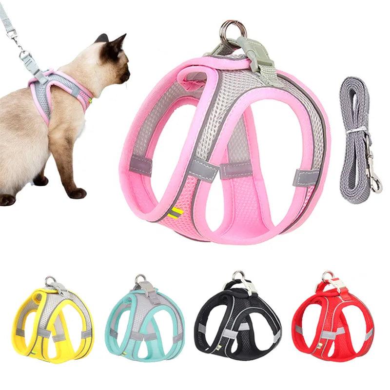 The Ultimate Guide to Cat and Dog Harnesses: Comfort, Safety & Control - Ammpoure Wellbeing