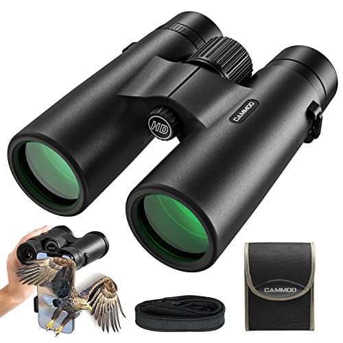 What Power Binoculars Do You Need? A Beginner's Guide to Choosing the Right Magnification - Ammpoure Wellbeing