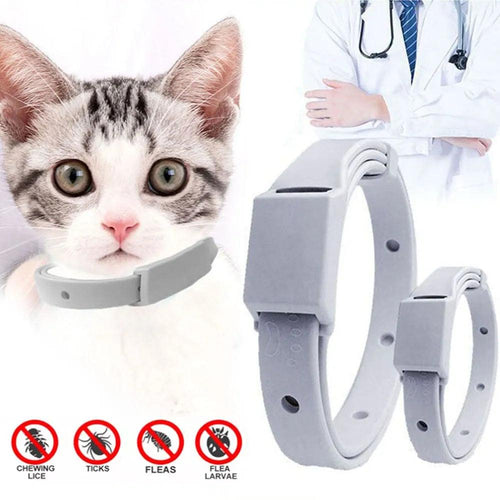 Anti Flea Tick Collar For Cat Small Dog Antiparasitic 8Month Protection Adjustable Puppy Kitten Collar Breakaway Pet Accessories - Ammpoure Wellbeing 🇬🇧