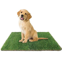 Load image into Gallery viewer, Artificial Grass Dog Potty Pad - Easy to Clean, Odor Resistant,Indoor/Outdoor Pet Training Solution - Ammpoure Wellbeing 🇬🇧
