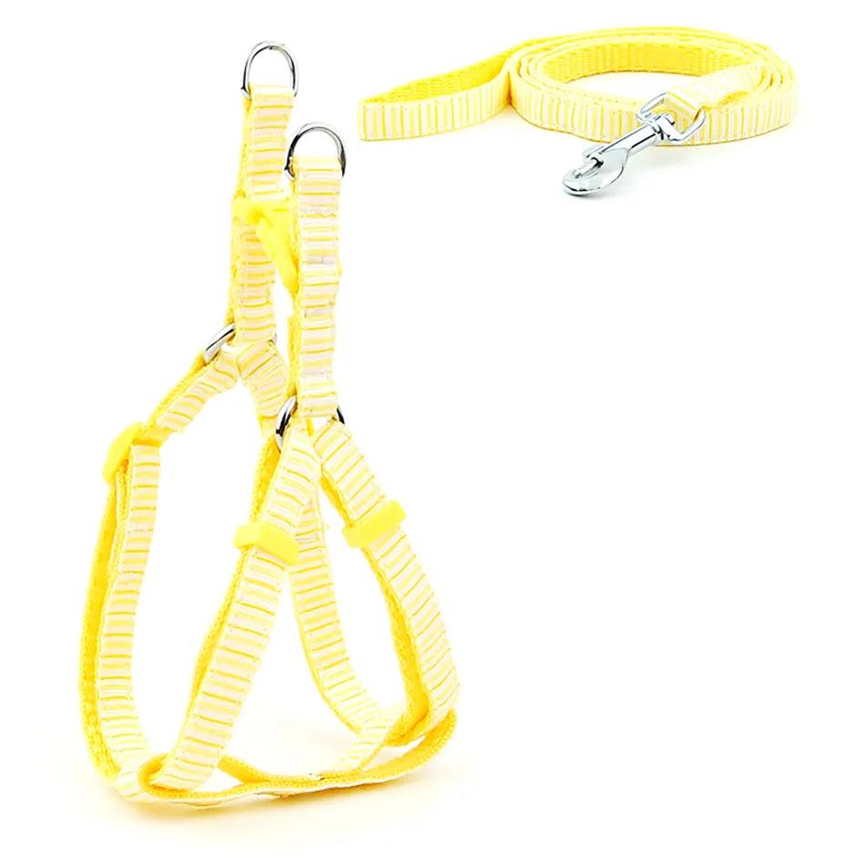 Pet Dog Harness and Leash Adjustable Collar Pet Products for Cat Small Dogs Outdoor Walking Puppy Accessories - Ammpoure Wellbeing