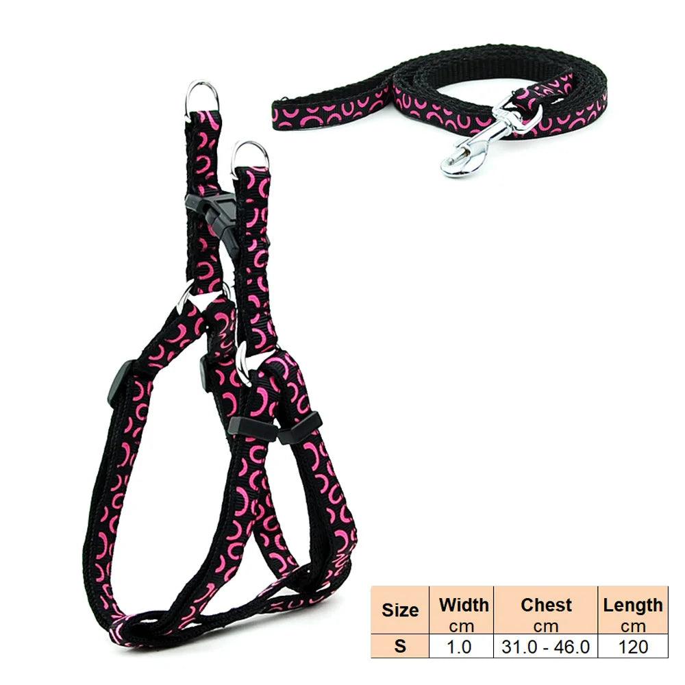 Pet Dog Harness and Leash Adjustable Collar Pet Products for Cat Small Dogs Outdoor Walking Puppy Accessories - Ammpoure Wellbeing