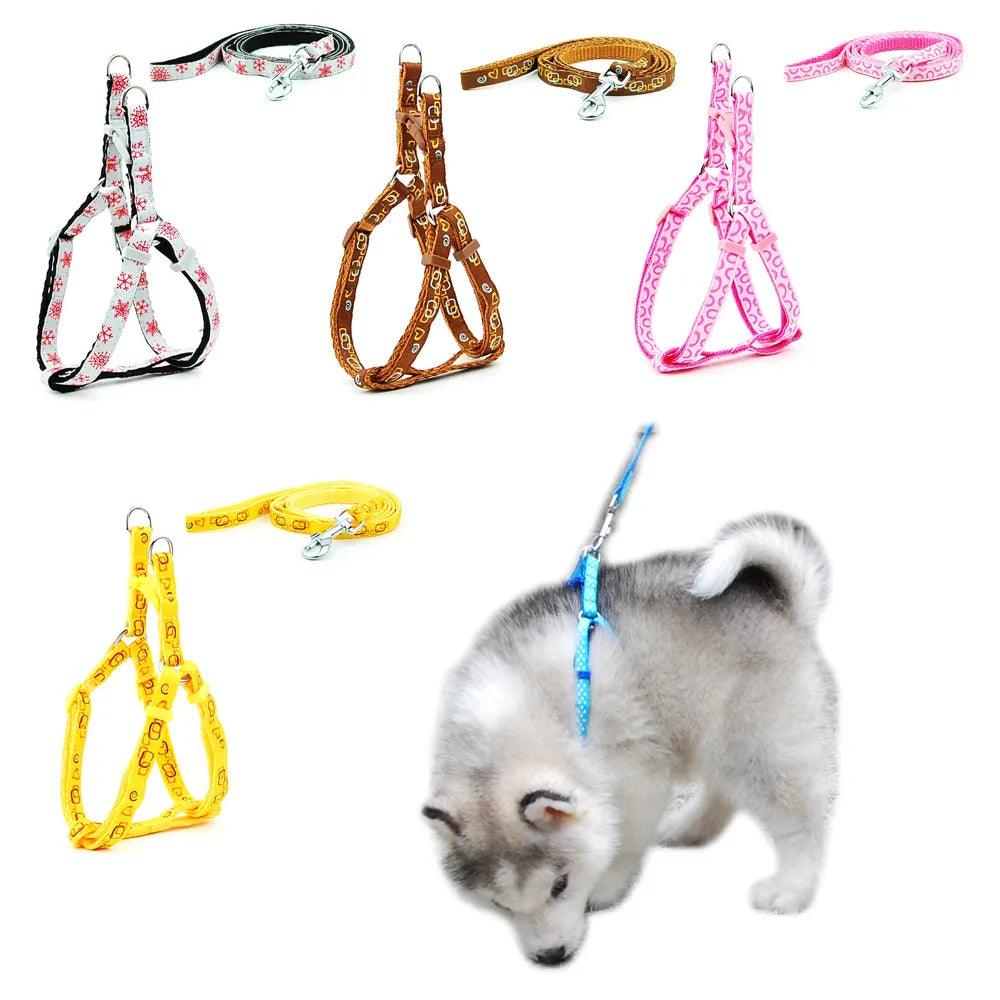 Pet Dog Harness and Leash Adjustable Collar Pet Products for Cat Small Dogs Outdoor Walking Puppy Accessories - Ammpoure Wellbeing