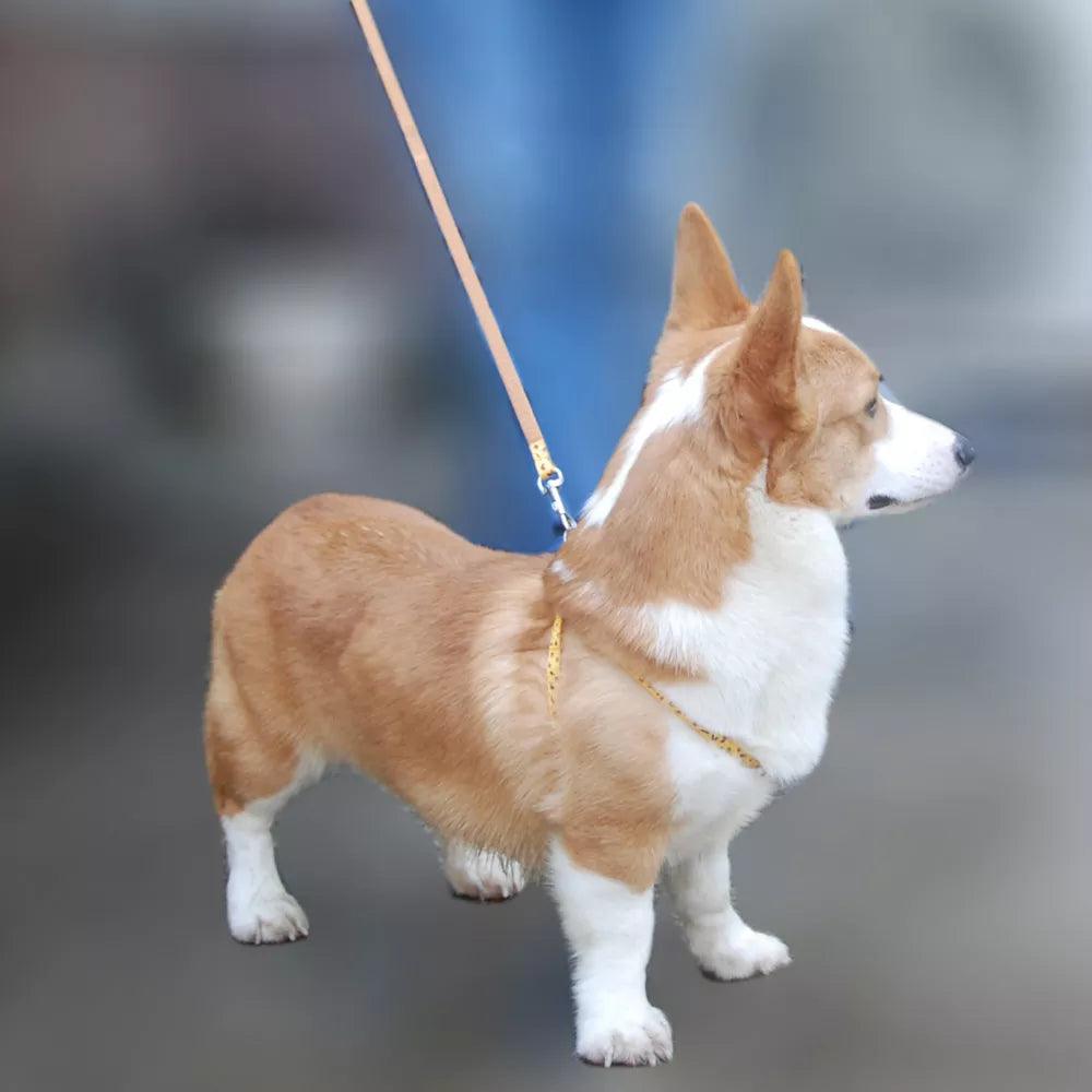 Pet Dog Harness and Leash Adjustable Collar Pet Products for Cat Small Dogs Outdoor Walking Puppy Accessories - Ammpoure Wellbeing