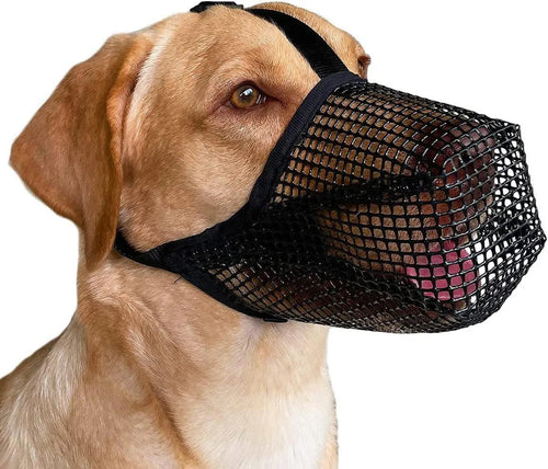 Pet Dog Muzzles Adjustable Breathable Dog Mouth Cover Anti Bark Bite Mesh Dogs Mouth Muzzle Mask For Dogs Long Mouth Doggy Use - Ammpoure Wellbeing 🇬🇧