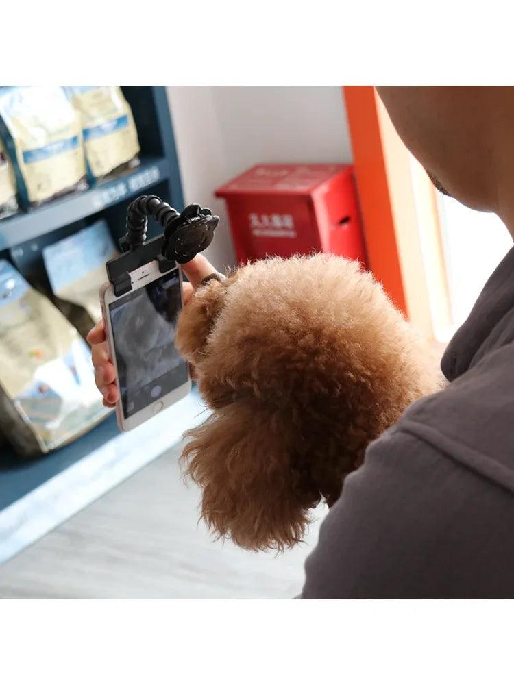 Pet Selfie Stick for Dogs Cat photography tools Pet Interaction Toys Concentrate Training Supplies Dog Accessories Drop Shipping - Ammpoure Wellbeing